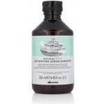 Davines Naturaltech Detoxifyng Shampoo – Detoxikační čistící šampon 250 ml