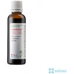 Dědek kořenář Svědivky® Dubové kapky s mátovou silicí RK–S 50 ml – Zboží Dáma