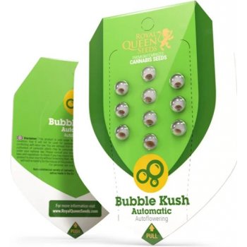 Royal Queen Seeds Bubble Kush Automatic semena neobsahují THC 1 ks