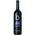 Buezo Nattan Reserva suché červené 2005 13,5% 0,75 l (holá láhev) – Hledejceny.cz