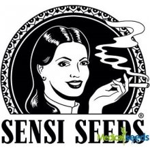 Sensi Seeds Double Kush Cake Auto semena neobsahují THC 1 ks