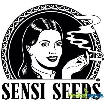 Sensi Seeds Double Kush Cake Auto semena neobsahují THC 5 ks