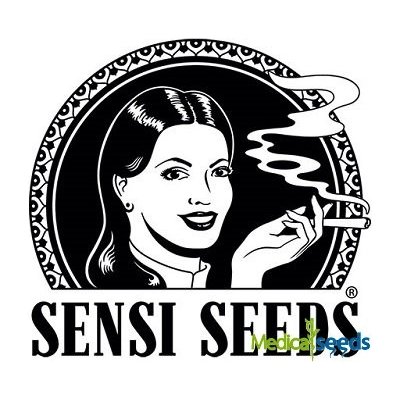 Sensi Seeds Double Kush Cake AUTO semena neobsahují THC 3 ks – Zboží Mobilmania