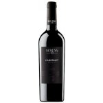 Serena Cabernet Sauvignon Veneto IGT 13% 0,75 l (holá láhev) – Hledejceny.cz