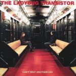 The Ladybug Transistor - Cant Wait Another Day CD – Hledejceny.cz
