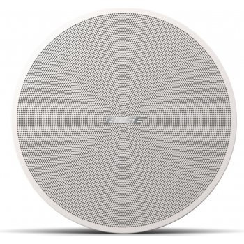 Bose DesignMax DM3C