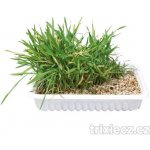 Trixie Tráva pro kočku v misce 100 g – Zboží Mobilmania