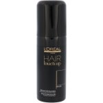 L'Oréal Hair Touch Up černá 75 ml – Hledejceny.cz