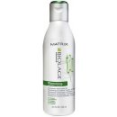 Matrix Biolage ScalpSync Cool Shampoo Mint 250 ml