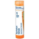 EQUISETUM HIEMALE POR 15CH GRA 1X4G – Hledejceny.cz