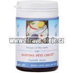 TCM Herbs Hostina pěti chutí 100 tablet – Hledejceny.cz