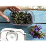 STATUS Tritan vakuová dóza 0,5l 155601 bílá – Hledejceny.cz