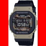 Casio DW-5610SUS-5 – Sleviste.cz