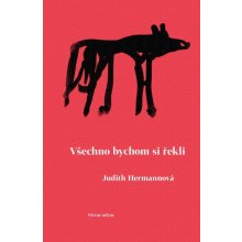 Všechno bychom si řekli - Judith Hermann