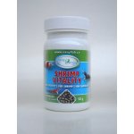EasyFish Shrimp vitality 50 g – Zboží Mobilmania