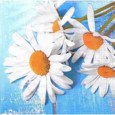 Ppd Ubrousek 33x33 cm Kopretina na modré – Hledejceny.cz