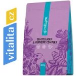 Energy QI collagen XXL 300 g – Hledejceny.cz