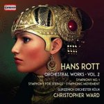 Hans Rott - Orchestral Works Vol. 2 Symphony No. 1 Symphony For Strings Symphonic Movement CD – Hledejceny.cz