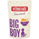 BIG BOY Rýžová kaše Sweet and Salty Eko 350 g – Zboží Mobilmania