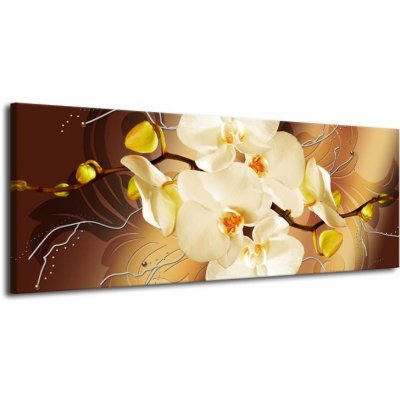 Obrazy na plátně orchidej žlutá plátno 1 145x58 – Hledejceny.cz