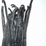 Nakhla Čokomint Vanilka 50 g – HobbyKompas.cz