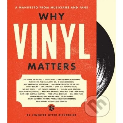 Why Vinyl Matters