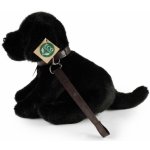 Eco- Friendly Rappa pes labrador černý 25 cm – Sleviste.cz