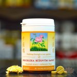 TCM Herbs Procházka růžovým sadem 100 tablet – Hledejceny.cz