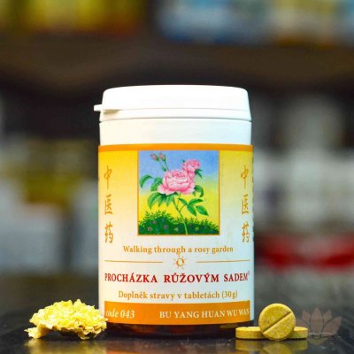 TCM Herbs Procházka růžovým sadem 100 tablet – Hledejceny.cz