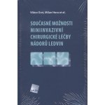 Současné možnosti miniinvazivní chirurgické léčby nádorů ledvin - Viktor Eret, Milan Hora a kol. – Hledejceny.cz