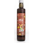 Sonnentor Kola sirup bio 0,5 l – Hledejceny.cz