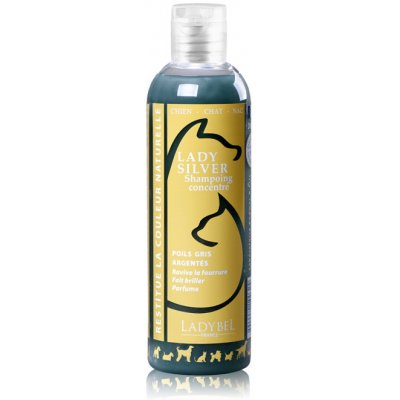 Lady Silver 200 ml – Zboží Mobilmania