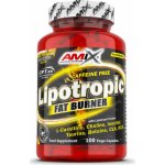 Amix Lipotropic Fat Burner 200 kapslí – Hledejceny.cz