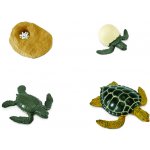 Safari Životní cyklus Mořská želva – Zboží Dáma