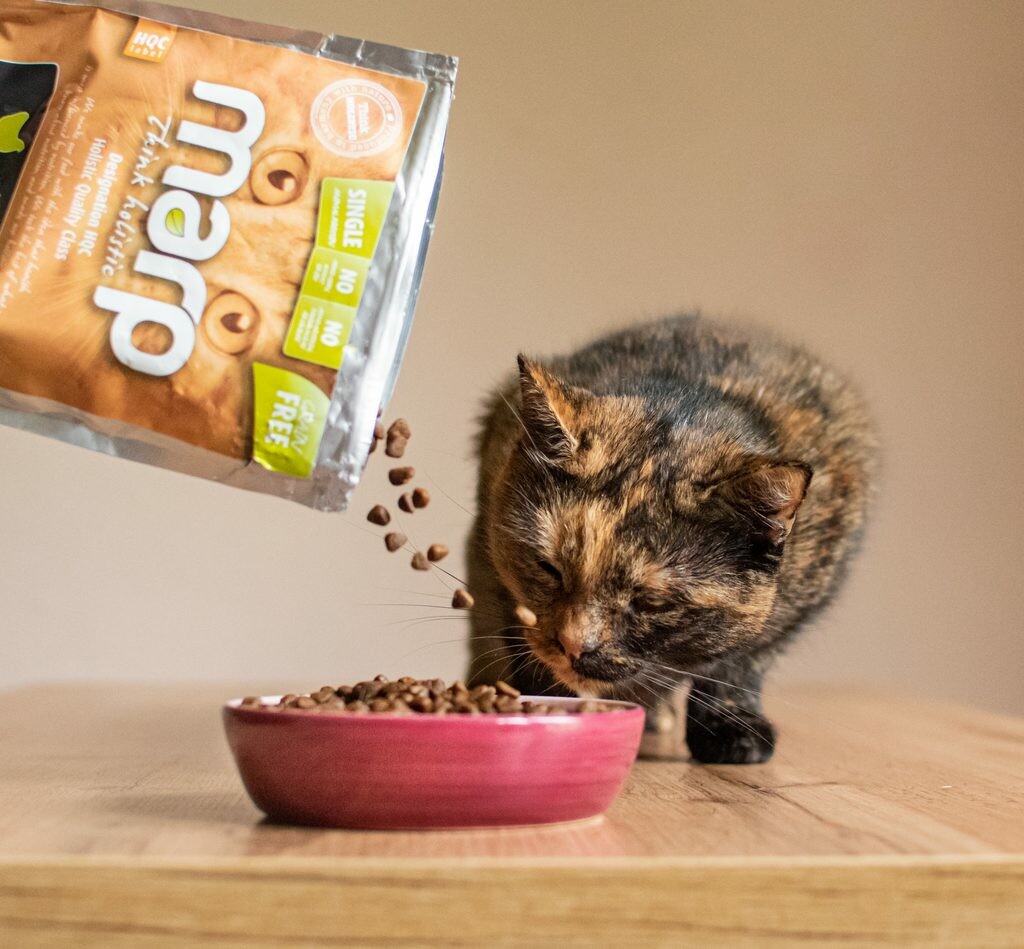 Marp Holistic Chicken CAT kuřecí bez obilovin 12 kg