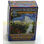 Everest Ayurveda Shatapushpi 100 g – Hledejceny.cz