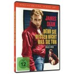 Rebel bez příčiny DVD – Hledejceny.cz