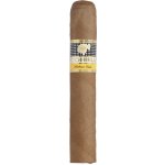 Cohiba Robusto 1 ks – Zboží Dáma