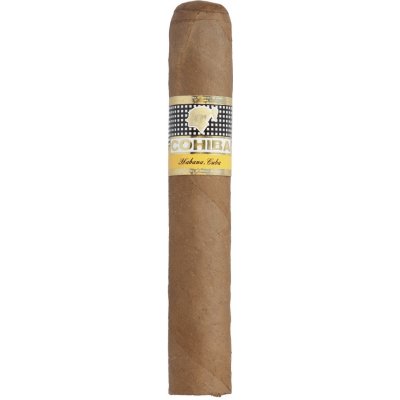 Cohiba Robusto 1 ks – Zboží Dáma
