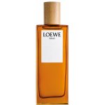 Loewe Solo Man toaletní voda pánská 50 ml – Hledejceny.cz