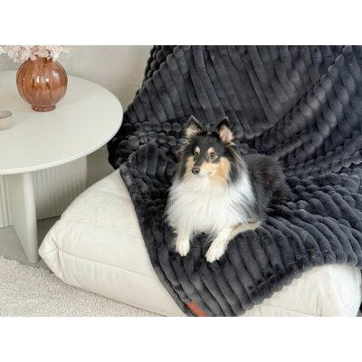 Exclusive Bed Voděodolná deka pro psa – Zboží Dáma