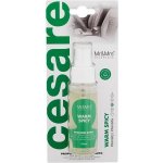 Mr&Mrs Fragrance Cesare Spray Warm Spicy – Hledejceny.cz