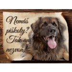 Sport hobby Cedulka Leonberger II Piškoty 20 x 15 cm – Zboží Mobilmania