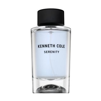 Kenneth Cole Serenity toaletní voda pánská 100 ml