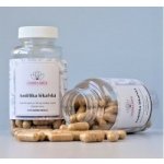 Andělika čínská 60 kapslí – Hledejceny.cz