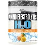 FitBoom Electrolytes H2O 500 g – Hledejceny.cz