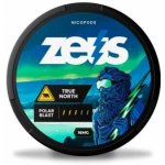 Zeus nikotinové sáčky True north 16,5 mg/g 20 ks – Zboží Mobilmania