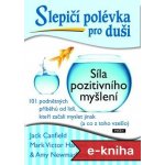 Slepičí polévka pro duši: Síla pozitivního myšlení – Hledejceny.cz