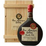 Armagnac-Delord Millésimés 1970 40% 0,7 l (holá láhev) – Zboží Dáma