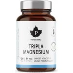 Puhdistamo Triple Magnesium 120 kapslí – Hledejceny.cz